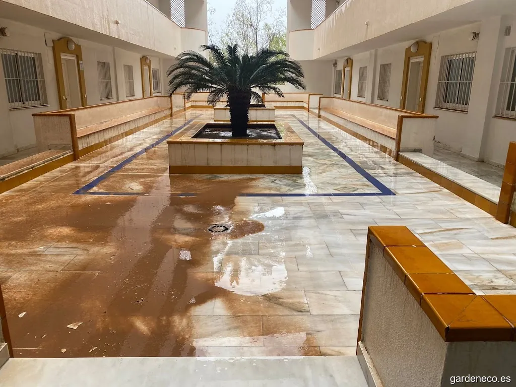 Multiservicios El Ajolín