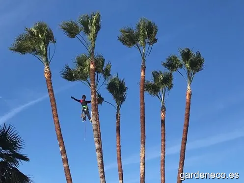 Jardineria Calderón