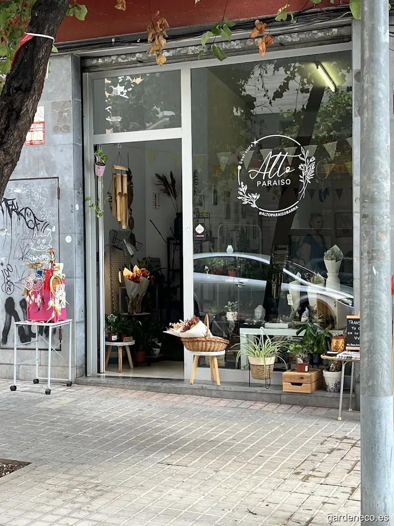 Alto Paraíso Barcelona