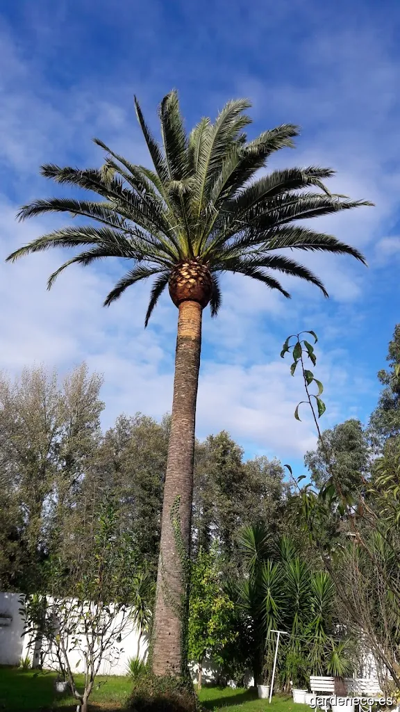 Zonas Verdes Anibal Soto S.L