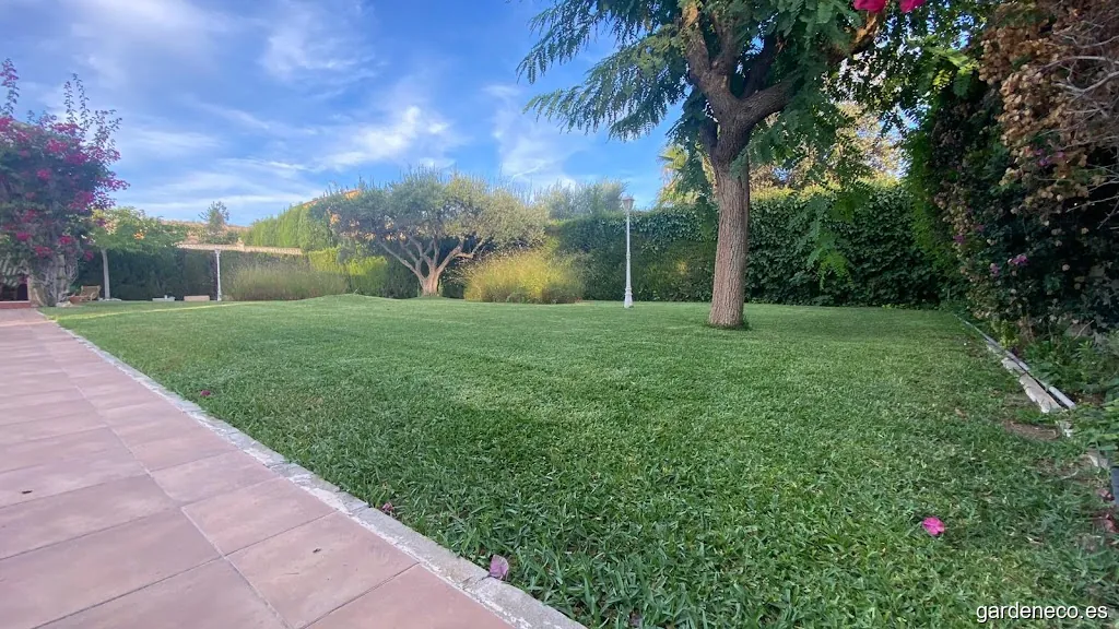 TU JARDIN EN BUENAS MANOS