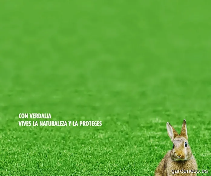 Césped Artificial Menorca Verdalia