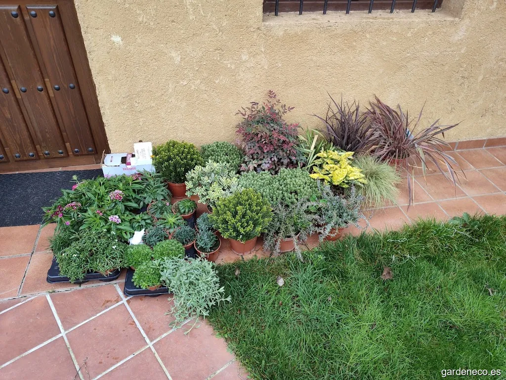 Lovegarden Riego y Jardinería