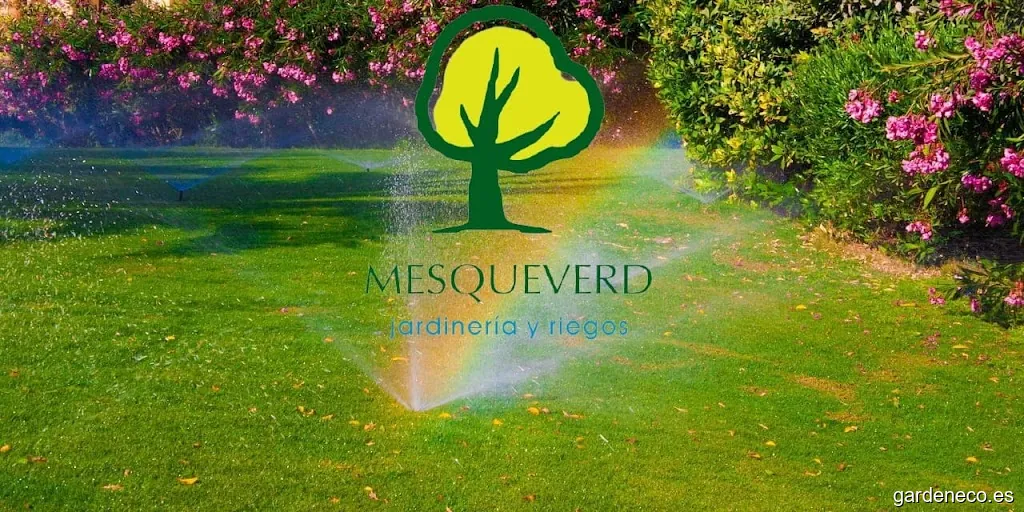 Jardinería en Valencia MésQueVerd