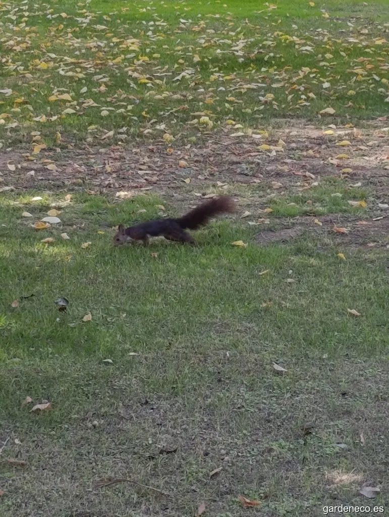 Jardín Botánico de Jumilla