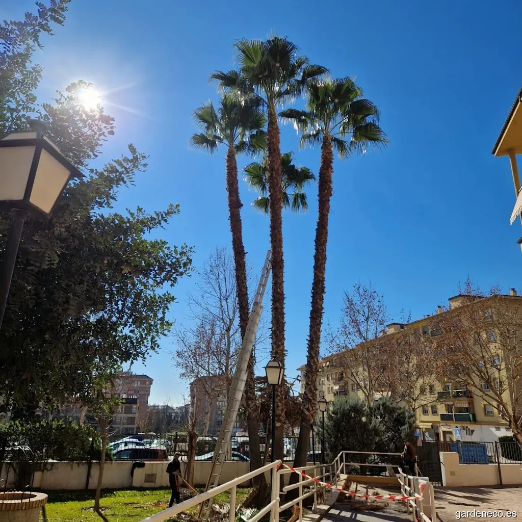 GESVESUR CÓRDOBA S.L.