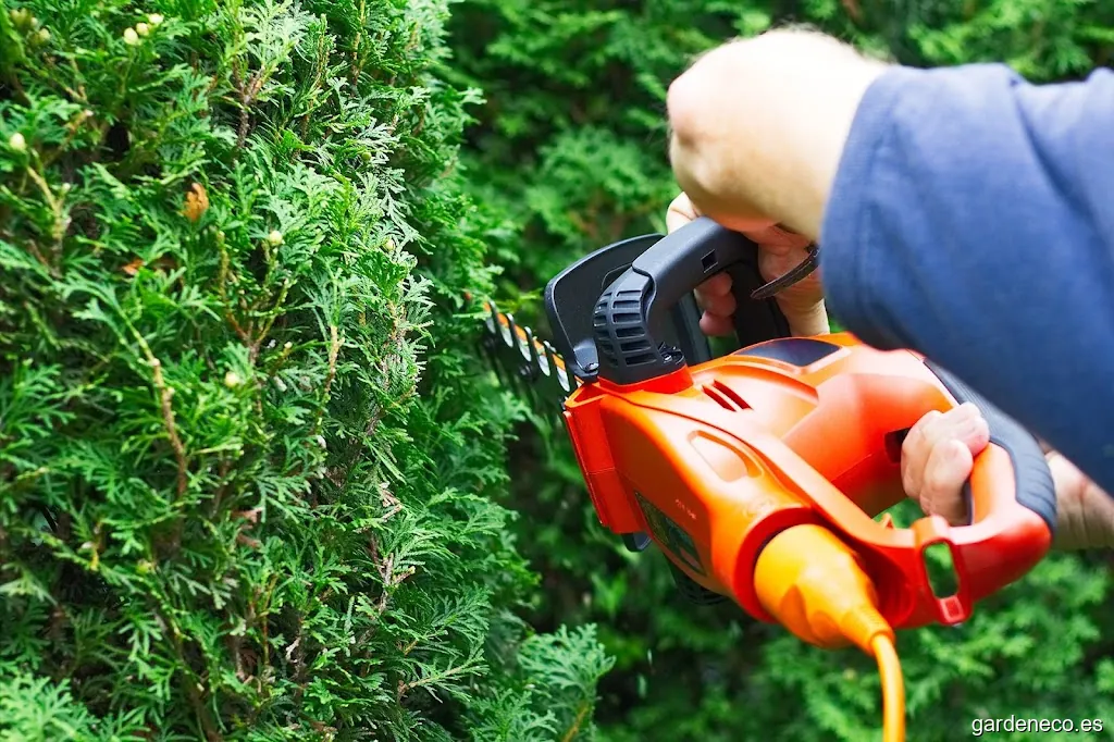 Jardinero Salamanca. Mantenimiento jardines y trabajos forestales.