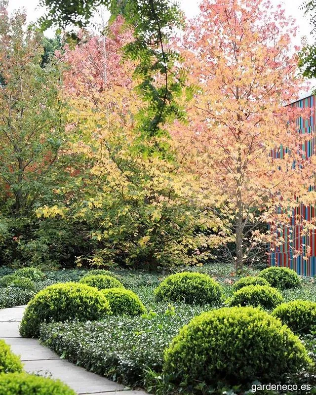 Carlos Soto Jardinero