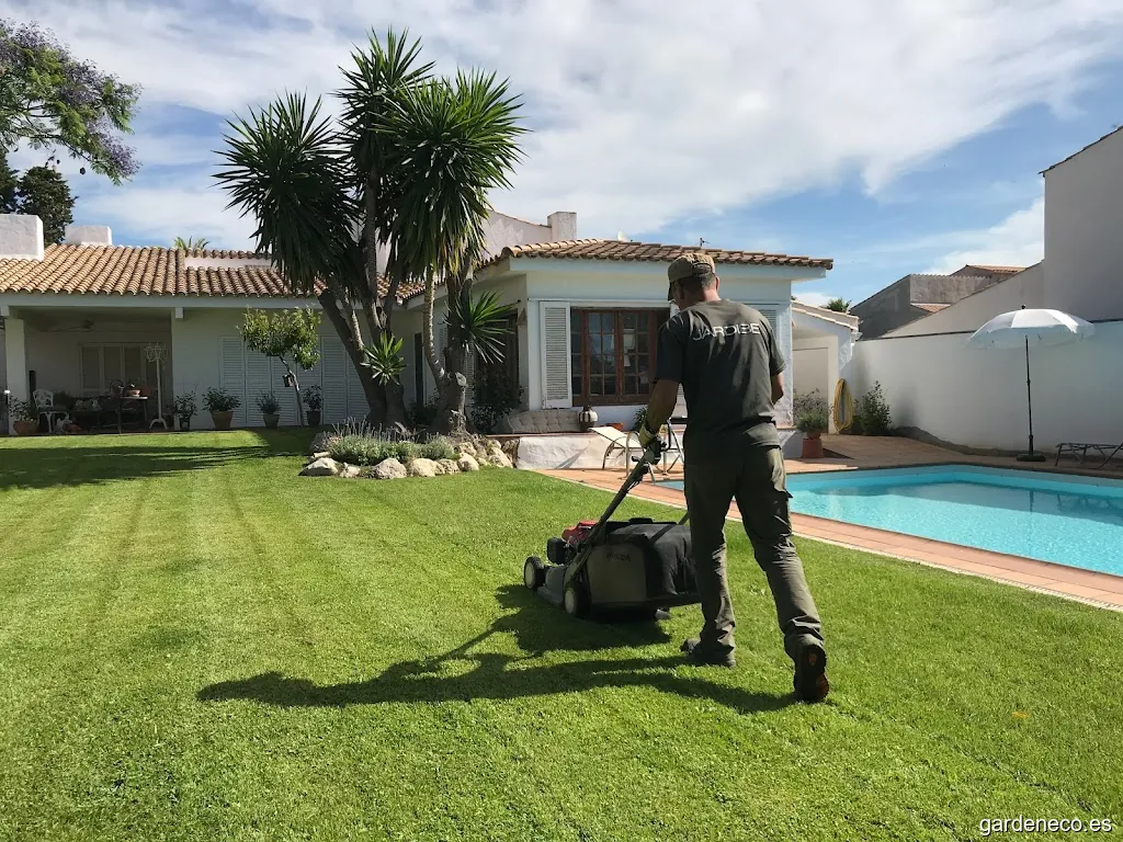 JARDIBE (Diseño, construccion y mantenimiento de Jardines)