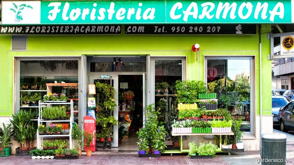 Floristeria Carmona Calzada
