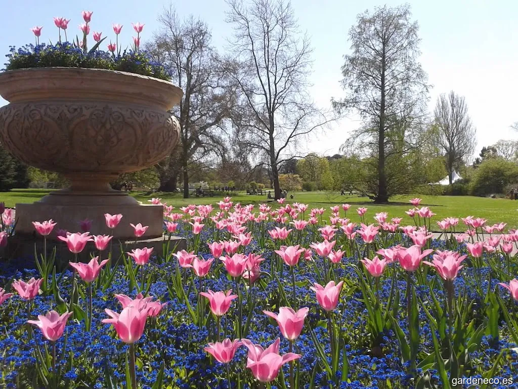 El Jardín de Carlos