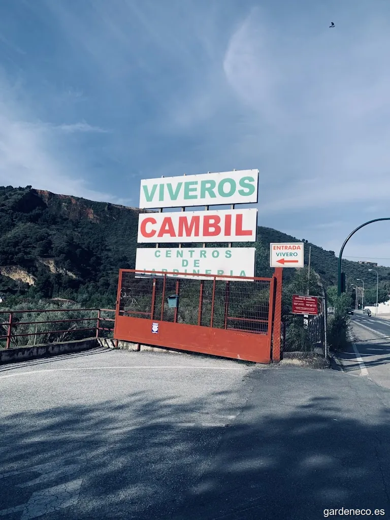 Viveros Cambil