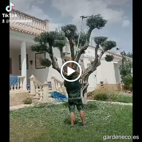 Biogarden Mantenimiento De Jardinería