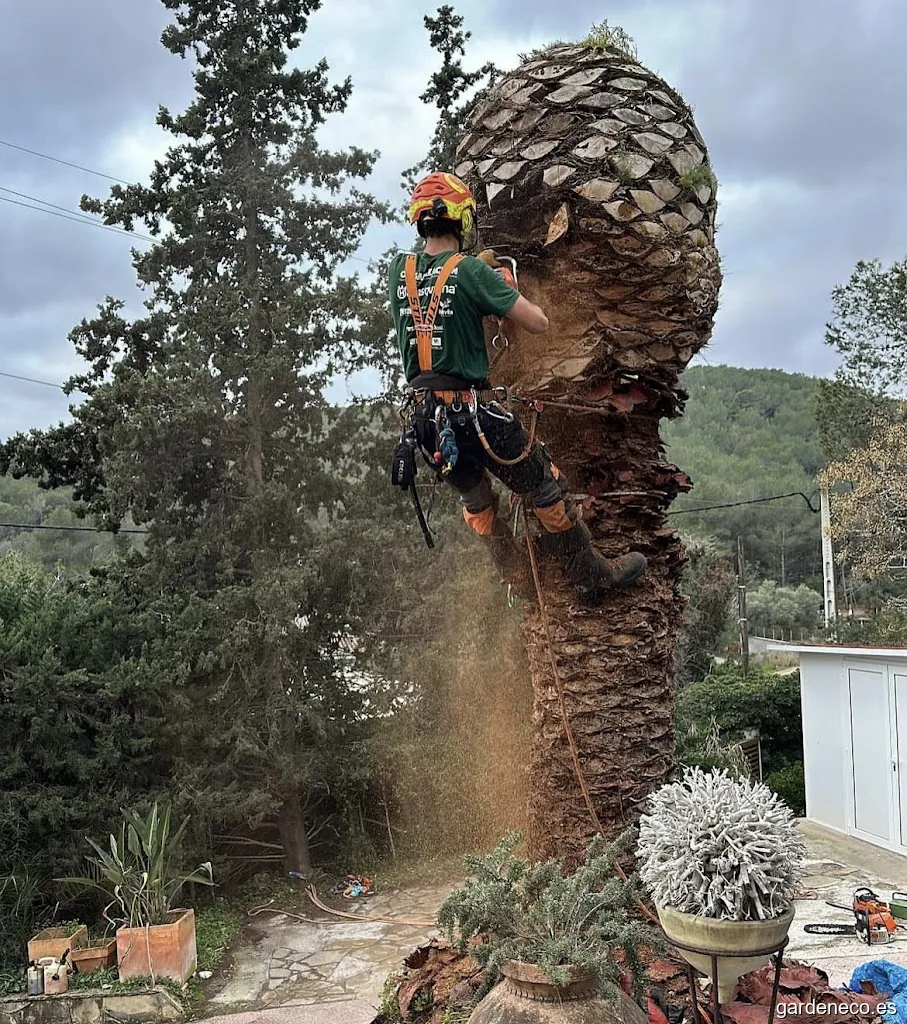 Atzavara Jardinería