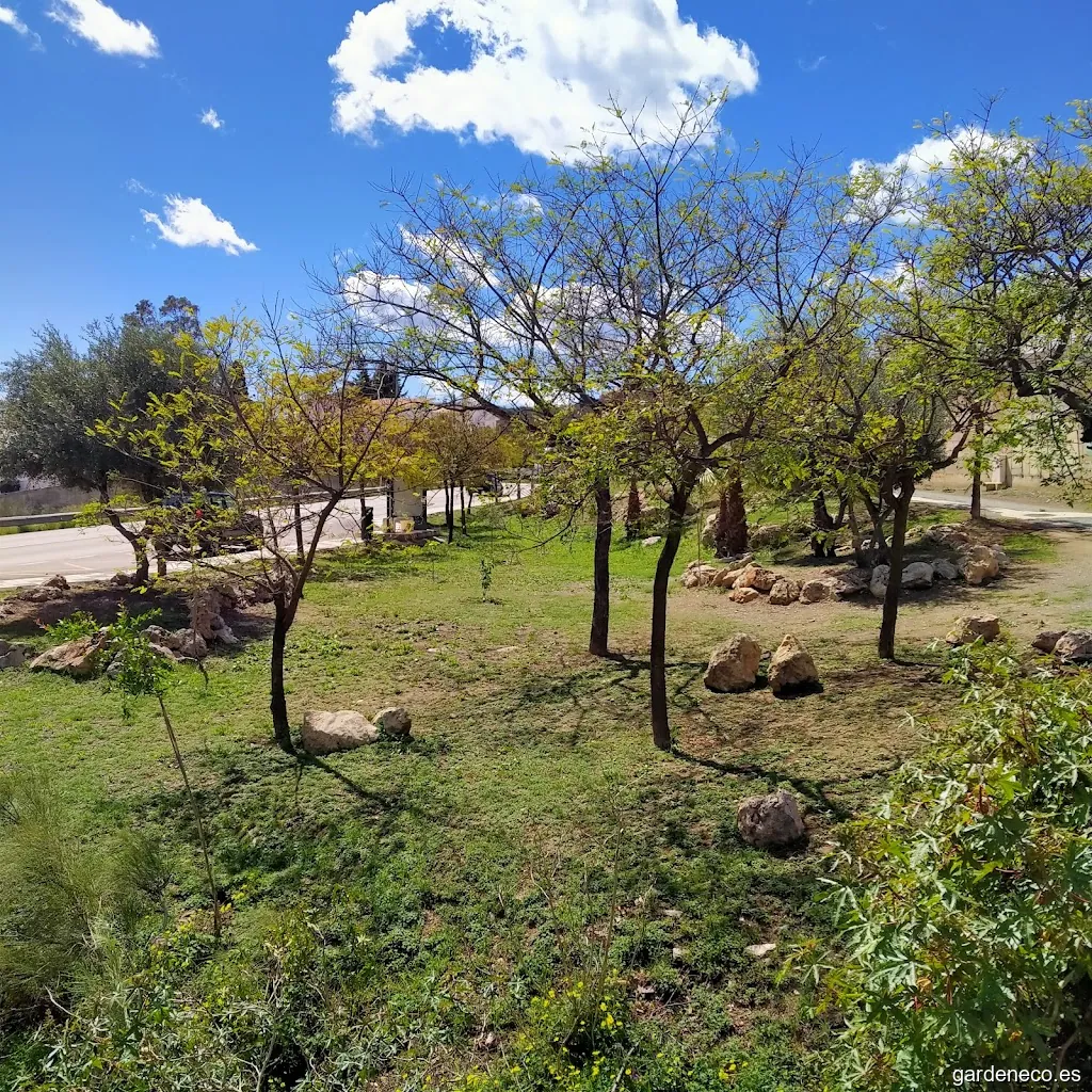Jardín del Acebuchal