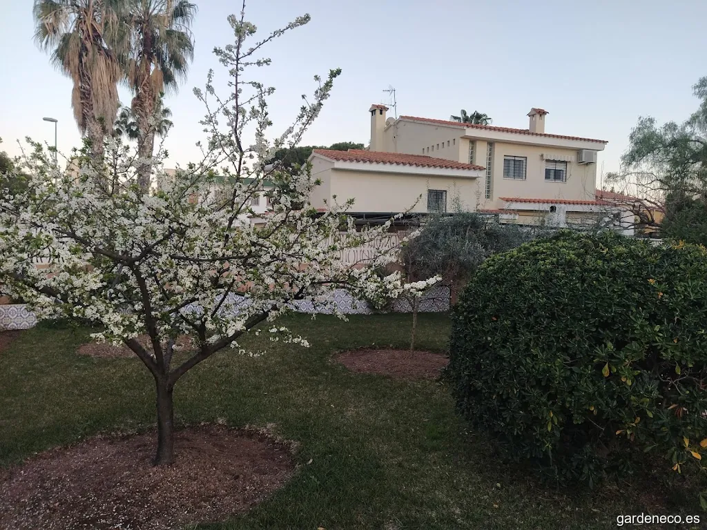 Viveros Codoñol S.l.