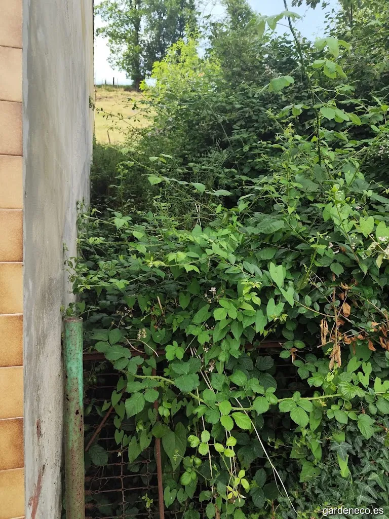 Verdea jardinería Asturias