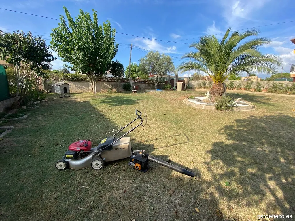 jardineria flor daurada