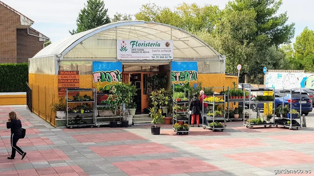Floristería Santa Mónica