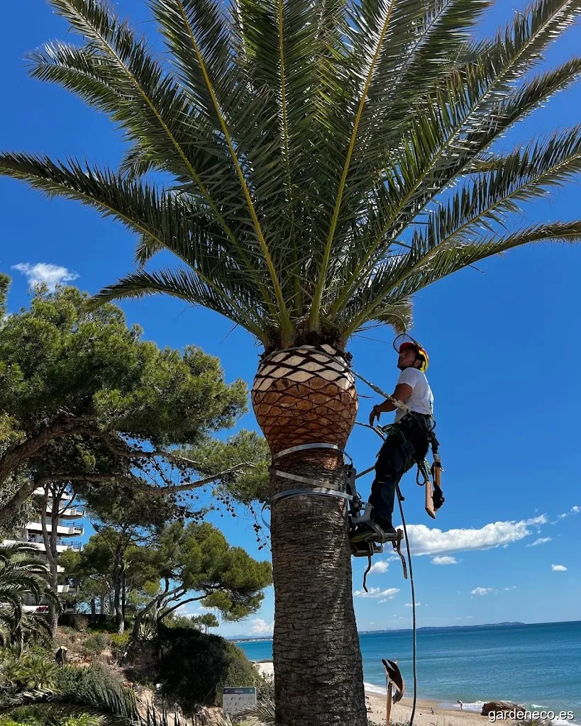 Jardineria Matilla’s