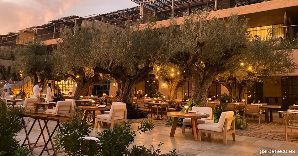 CIANEA Estudio - Paisajismo