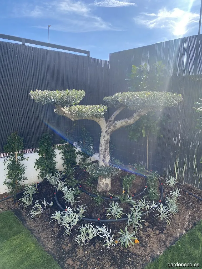 JARDINERÍA CÓRDOBA