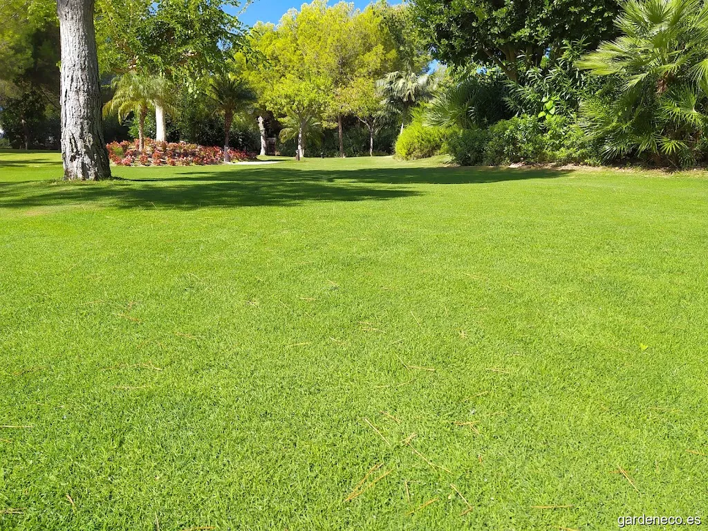 Bellasombra Jardinería natural