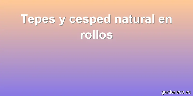 Tepes y cesped natural en rollos