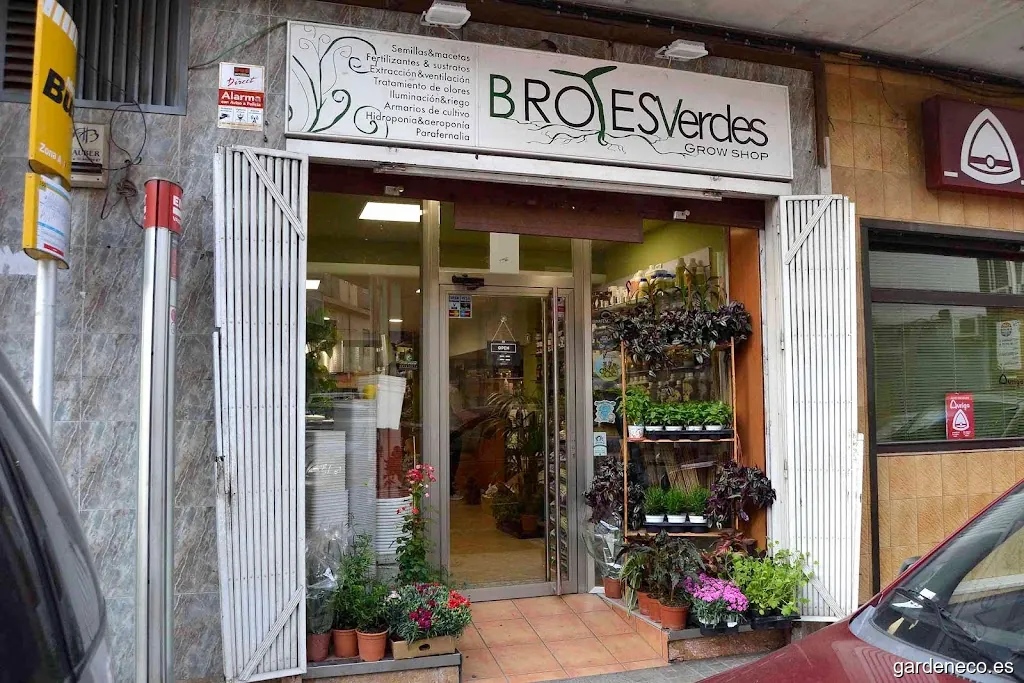 Grow Shop & CBD & Vaper Shop - Brotes Verdes Mislata