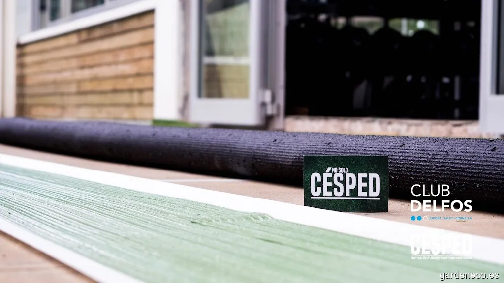 NO SOLO CÉSPED