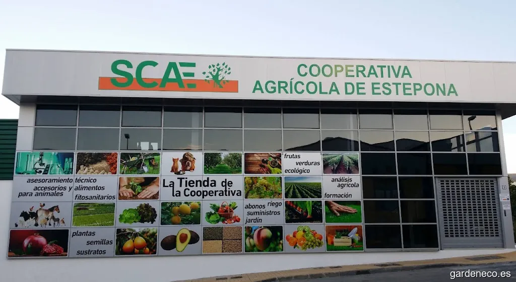 Sociedad Cooperativa Andaluza Agrícola de Estepona