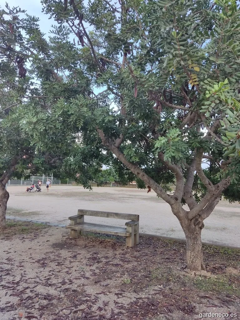 Plaza de Miguel de Molina