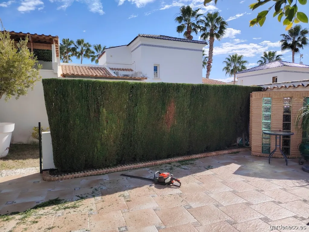 Mantenimiento de piscinas jardines y podas