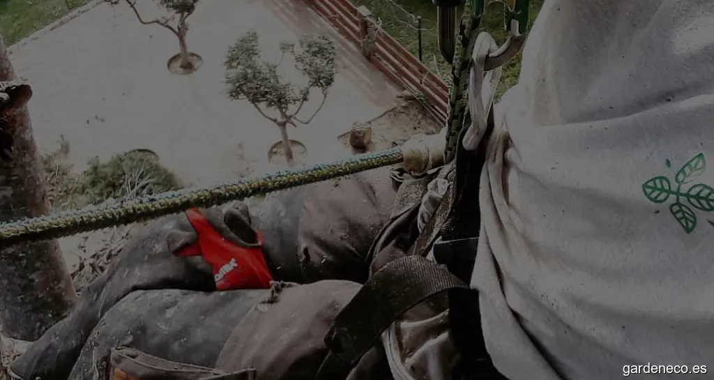 Plantverd Serveis de Jardineria al Camp de Tarragona