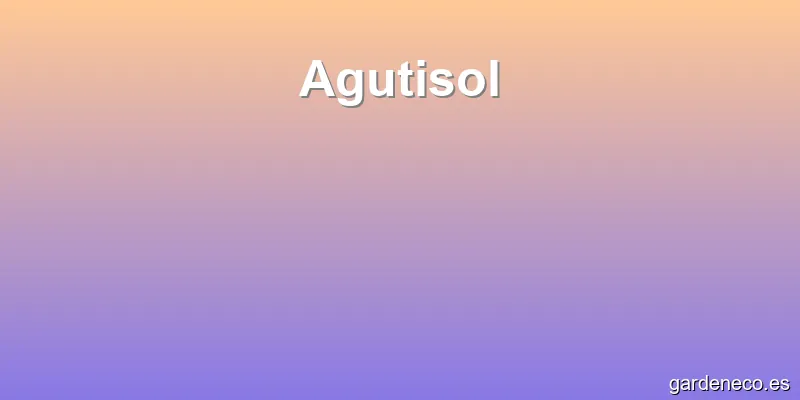 Agutisol