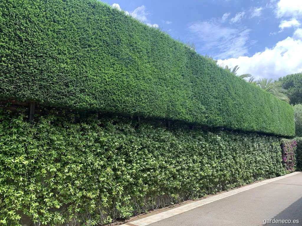 Món Verd Jardines | Empresa de jardinería en la Costa Brava