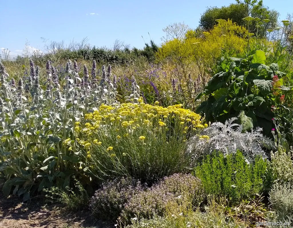 Ailanthus Jardinería y Paisajismo