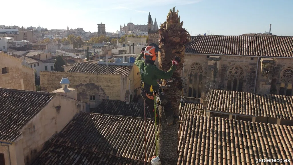 Jardines Stoyanoff Poda y Mantenimiento de comunidades