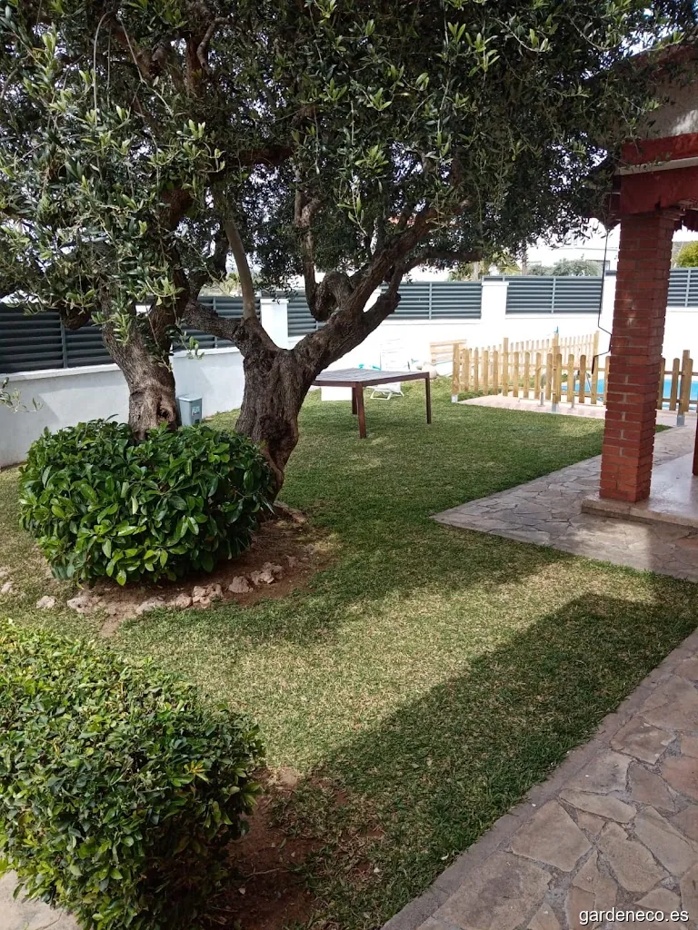 Reformas Antonio Ramírez