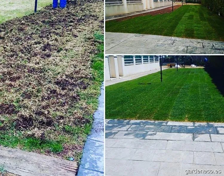 Jardín & Flor Mantenimientos