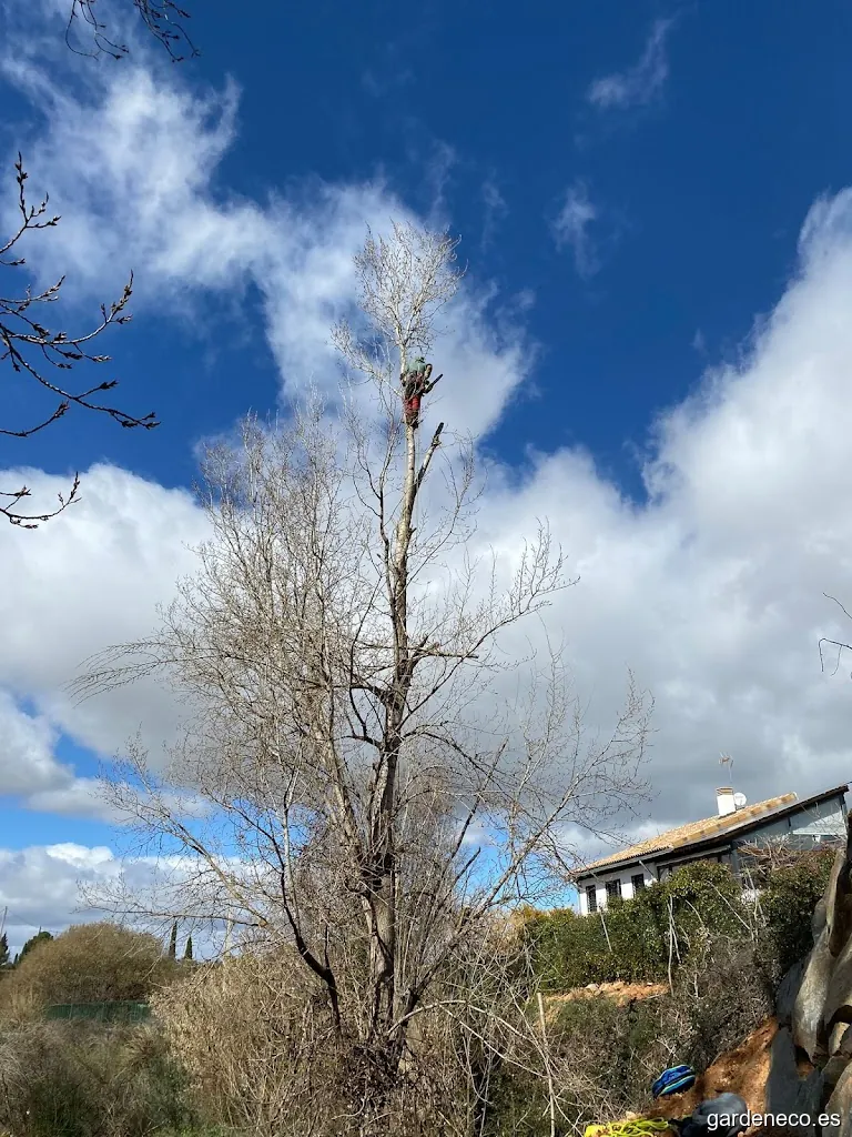 Livio Rossi Podador de altura y jardinero