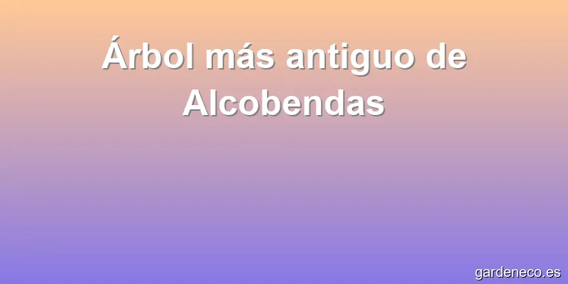 Árbol más antiguo de Alcobendas
