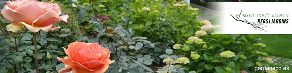 Jaume Pont Llobet Regs i Jardins - Empresa de jardinería profesional en Barcelona