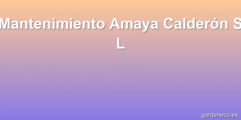 Mantenimiento Amaya Calderón S L
