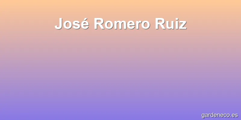 José Romero Ruiz