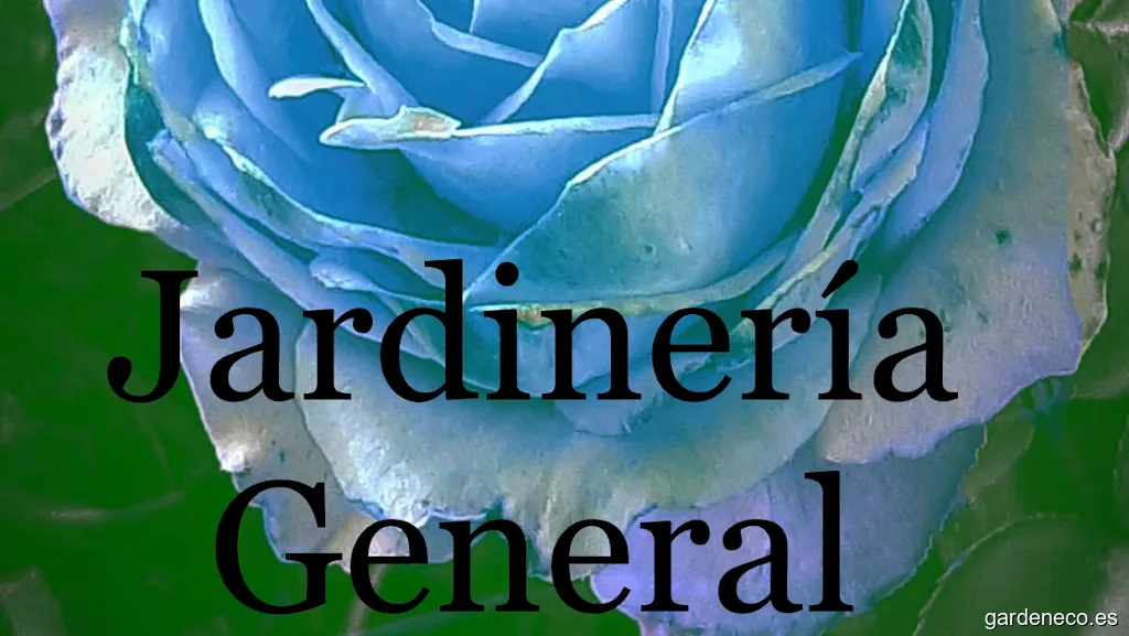 Jardinería General Cypress