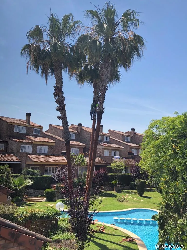 Jardinería Green Company CB