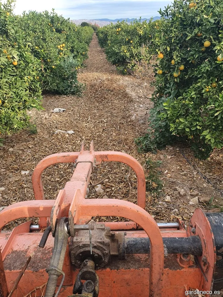 Vicente Pomares Tractorista y Jardinero en Elche