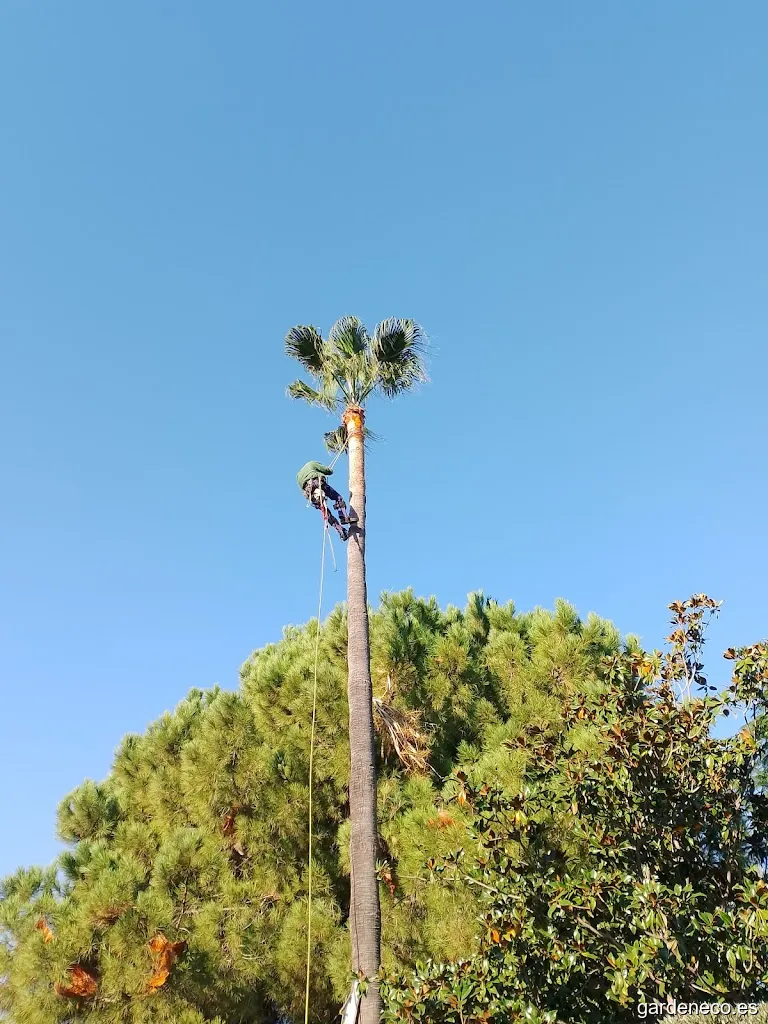 Le Selective Jardines