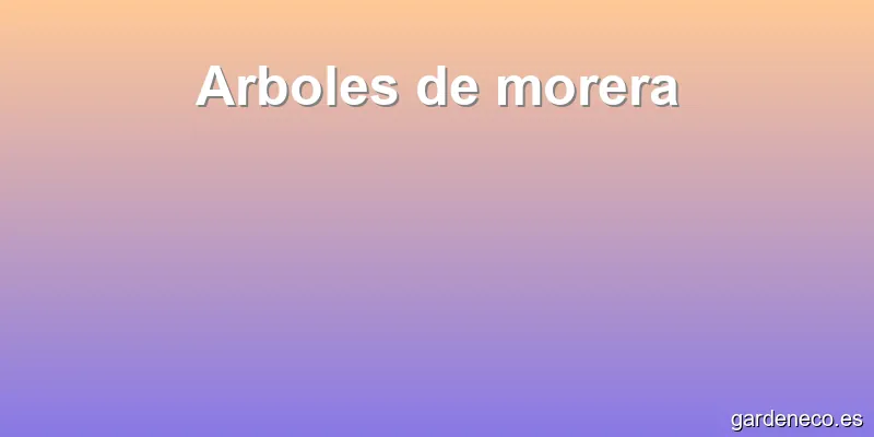 Arboles de morera